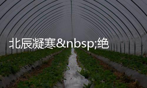 《大神你人设崩了》全文在线阅读
