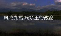 凤鸣九霄:病娇王