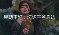 呆萌王妃：坏坏王