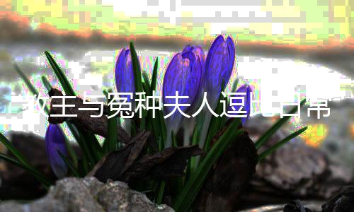 《腰软知青在年代和忠犬糙汉贴贴》全文在线阅读