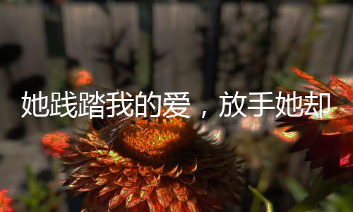 《宋檀记事》全文在线阅读