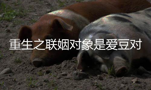 《替嫁随军第一晚，她就住进了医院》全文在线阅读