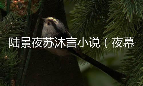 《婚色诱瘾》全文在线阅读